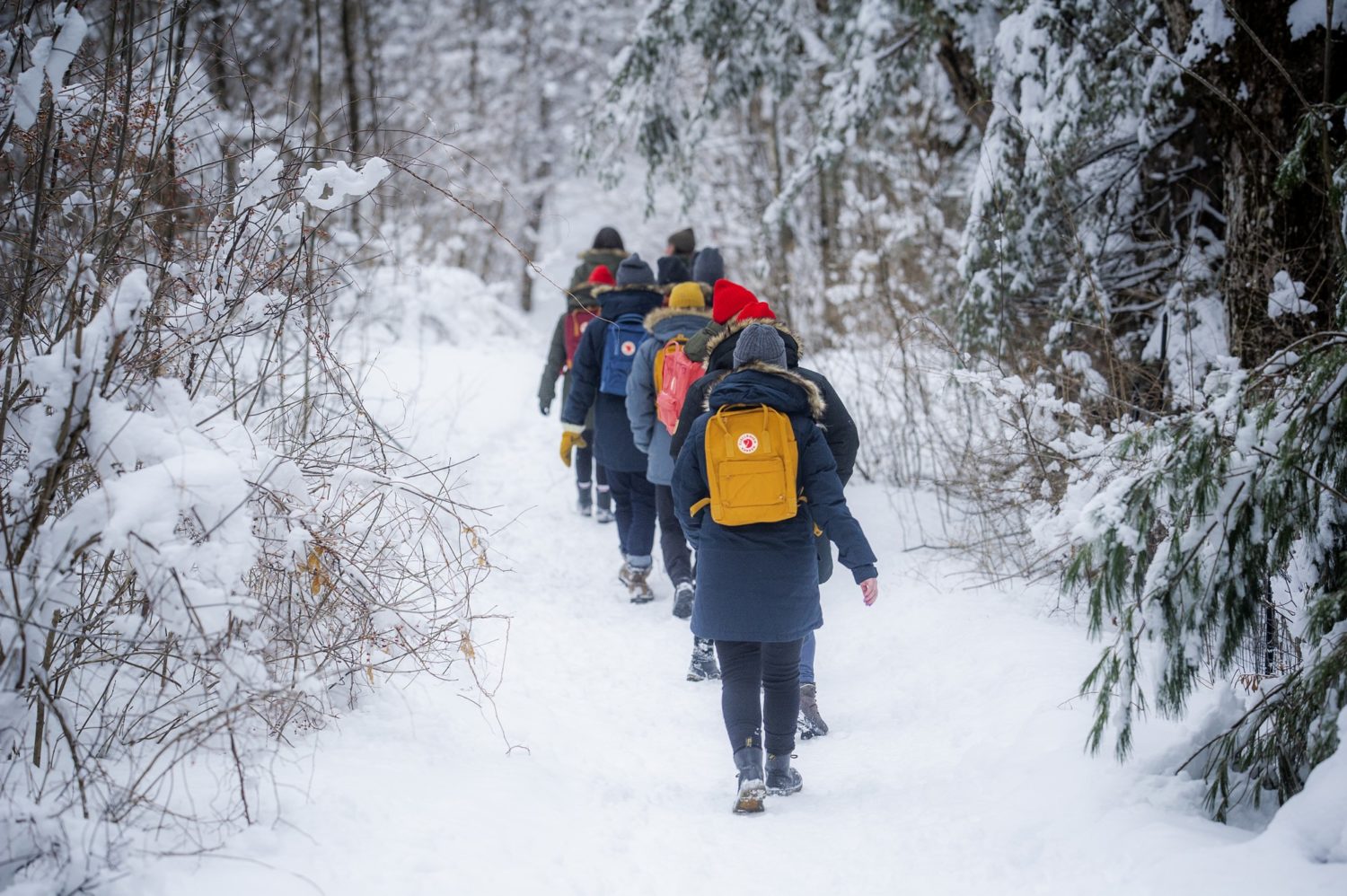 A winter hike in Gatineau Park with Fjällräven and social media influencers  - Glue Magazine