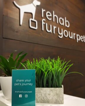 The reception area at Rehab Fur Your Pet. Look up #rehabfuryourpet on social media.