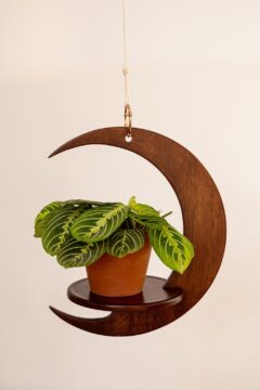 The sleek shape of the Moon Hanger is the ideal frame for medium sized plants and the dark stain contrasts perfectly with a bright window.